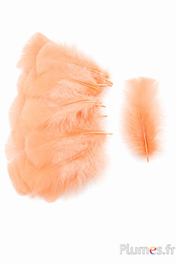 Tacchina - 6-8 cm - salmone